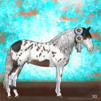 Horse Color:Liver Chestnut Tobiano Rabicano  and Chocolate Palomino Tobiano Near Leopard 