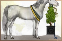 Horse Color:Platinum White Spotted Chocolate Palomino Pearl Rabicano 