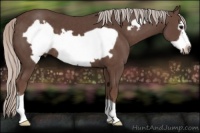 Horse Color:Silver Black Frame