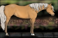 Horse Color:Silver Buckskin 