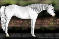 Horse Color:White Spotted Silver Bay Chinchilla Dun Splash 