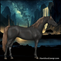 Horse Color:Liver Chestnut  and Liver Chestnut 