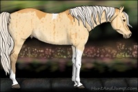 Horse Color:Silver Buckskin Dun Tobiano Brindle 