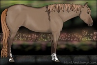 Horse Color:Liver Red Dun Sabino 
