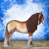 Horse Color:Chocolate Bay Onyx 