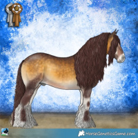 Horse Color:Chocolate Buckskin Onyx 