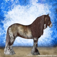 Horse Color:White Spotted Chocolate Brown Ice Onyx 