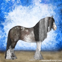 Horse Color:White Spotted Brown Ice Sabino 