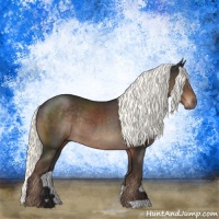 Horse Color:Liver Chestnut Mushroom Rabicano