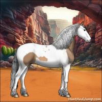 Horse Color:Bay Dun Splash Tobiano 