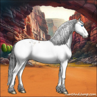 Horse Color:Bay Ice Dun Splash Tobiano Rabicano 
