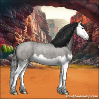 Horse Color:Grullo Roan Splash 