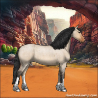 Horse Color:Bay Roan Dun 