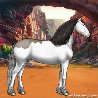 Horse Color:Smoky Grullo Splash