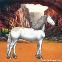 Horse Color:Silver Smoky Grullo Roan Splash 