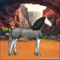 Horse Color:Grullo Roan Splash 