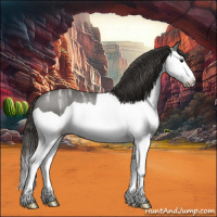 Horse Color:Smoky Black Ice Splash 