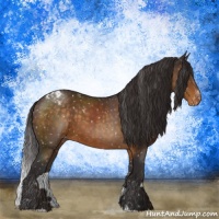 Horse Color:Buckskin Sabino Appaloosa 