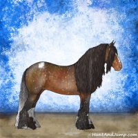 Horse Color:Buckskin Sabino Snowflake Varnish