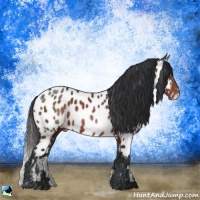 Horse Color:Brown Near Leopard 