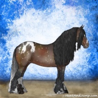 Horse Color:Brown Sabino Appaloosa