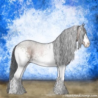 Horse Color:White Spotted Brown Sabino