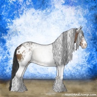 Horse Color:White Spotted Brown Rabicano 