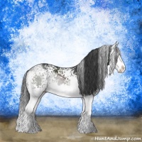 Horse Color:White Spotted Black Splash 