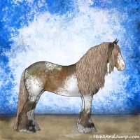 Horse Color:White Spotted Chocolate Palomino