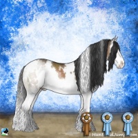 Horse Color:White Spotted Brown Dun Sabino Splash 
