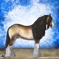 Horse Color:Liver Red Onyx 