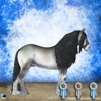 Horse Color:Blue Onyx Chinchilla