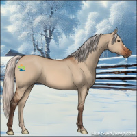 Horse Color:Silver Brown Dun