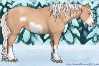 Horse Color:Silver Amber Champagne Splash Frame 