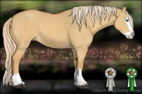Horse Color:Palomino Dun Splash 