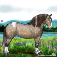 Horse Color:Buckskin Dun Splash Snowflake Varnish