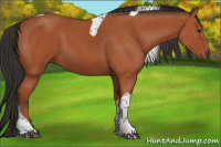 Horse Color:Bay Tobiano Rabicano 