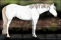 Horse Color:Gold Cream Champagne Dun Near Fewspot 