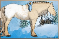Horse Color:Palomino Dun Appaloosa