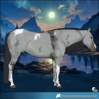 Horse Color:Liver Red Dun Ice Tobiano Frame 