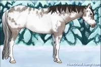 Horse Color:Brown Roan Dun Mushroom Sabino Splash Frame Near Leopard 