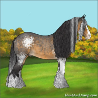 Horse Color:White Spotted Buckskin Roan Splash 
