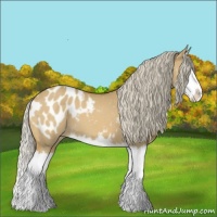 Horse Color:Palomino Dun Splash Appaloosa