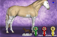 Horse Color:Gray Palomino Dun Splash 