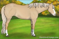 Horse Color:Palomino Dun Splash