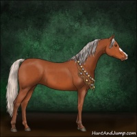 Horse Color:Silver Bay 