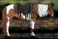 Horse Color:Chestnut Tobiano 