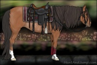 Horse Color:Bay Rabicano 