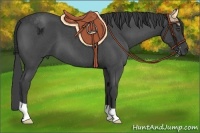 Horse Color:Smoky Blue Roan 