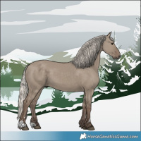 Horse Color:Silver Grullo 